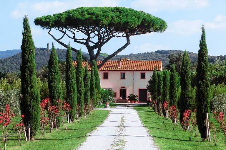 Casale Donoratico