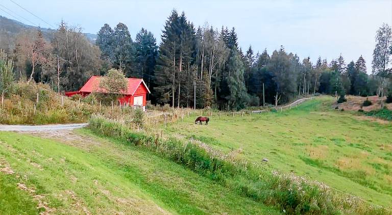 Vacation home with 1 room for 3 persons — photo 4