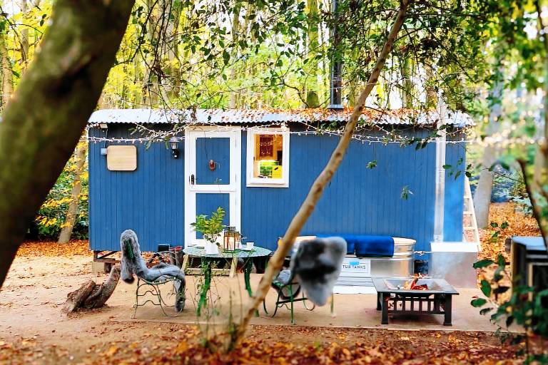 Cabin Petham