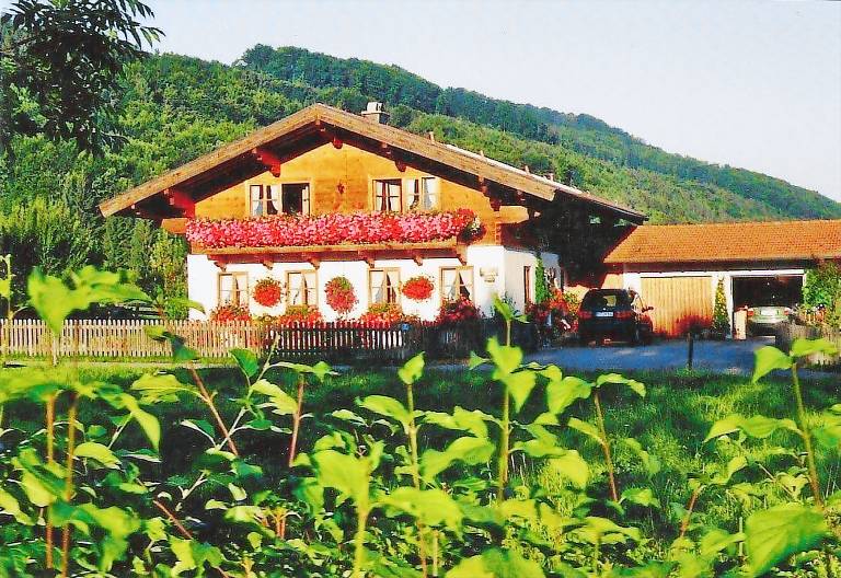 foto2