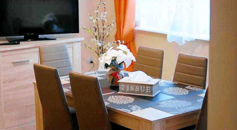 Wonderful holiday apartment | Dogs allowed in Jelenia Gora