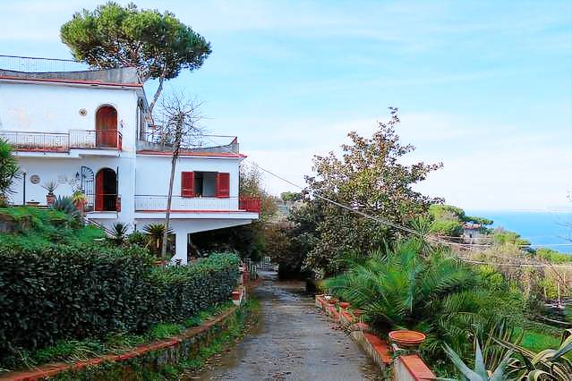 Ample villa | Pets allowed — photo 2