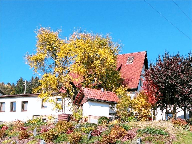 foto9