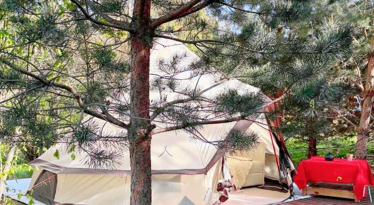 Glamping under the pines in Vilnius