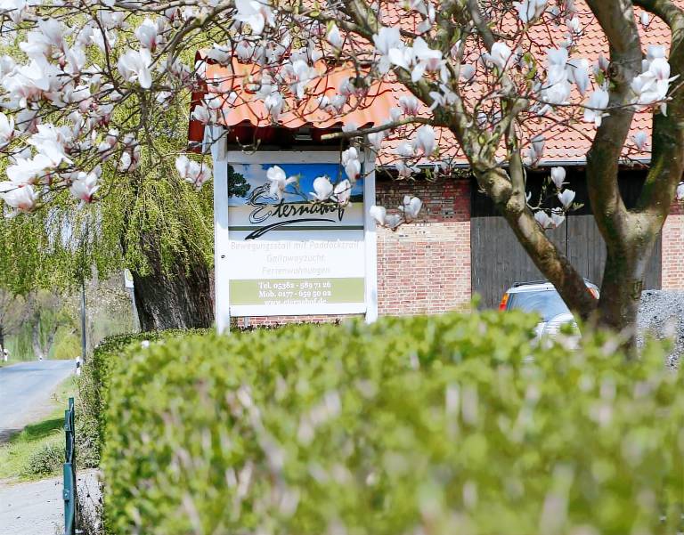 Ferienhaus Bad Gandersheim