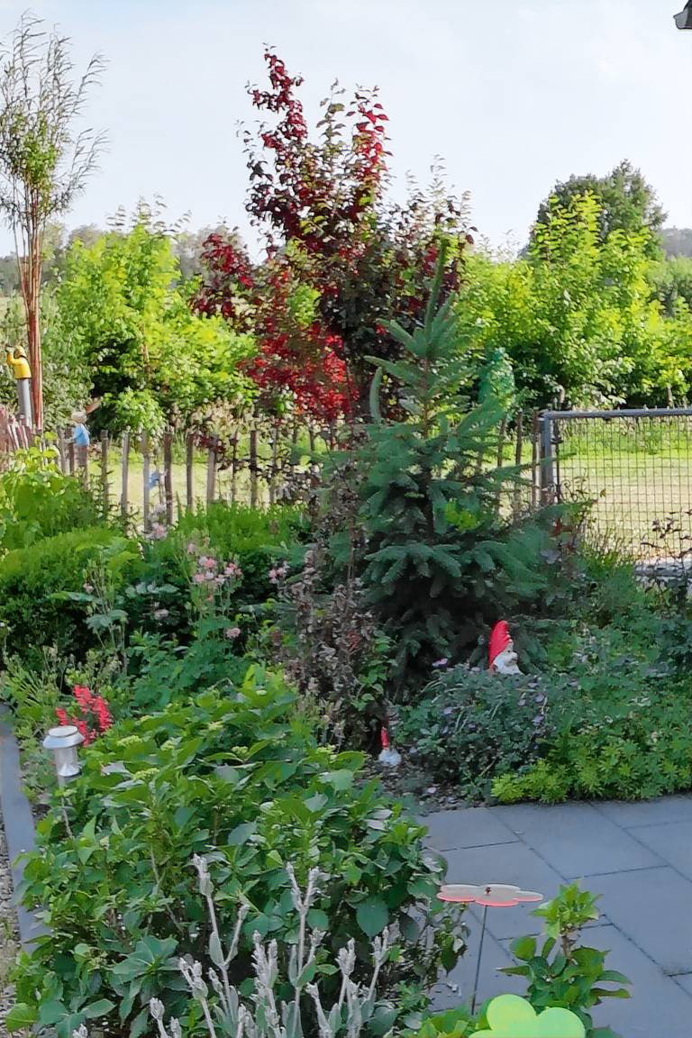 Charming rental apartment with patio | Nature view | Pets are welcome — photo 3