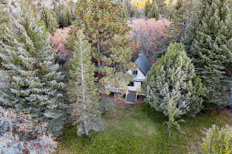 House Pine Valley