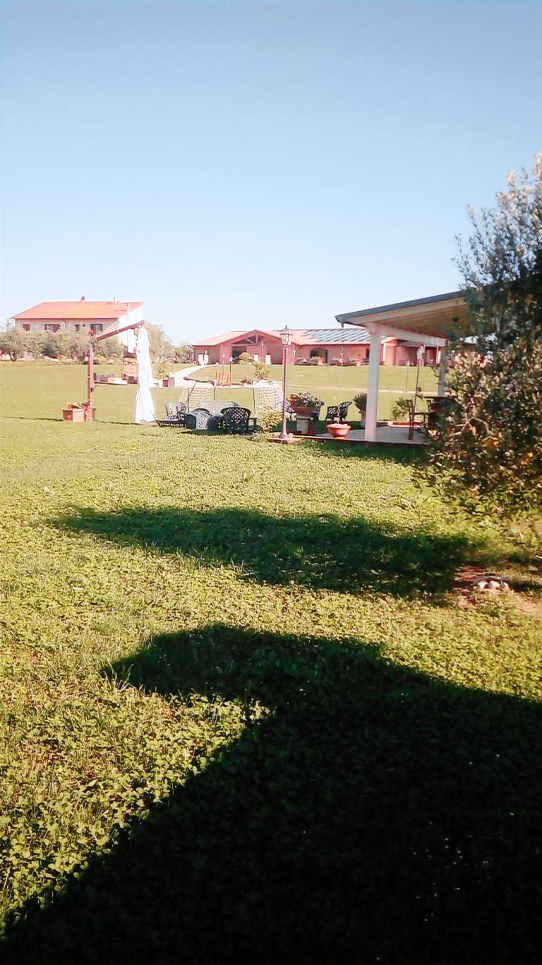 foto1