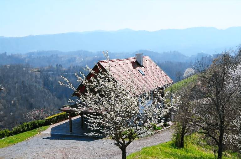 Ferienhaus  Gemeinde Leutschach