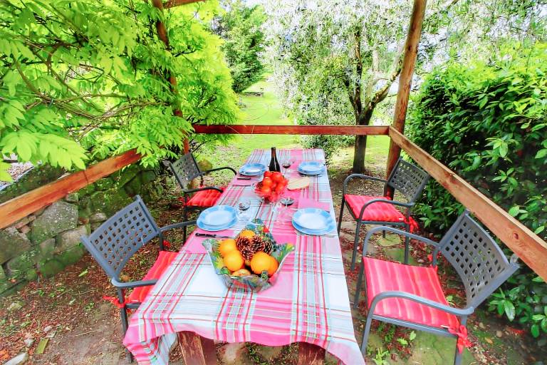 Farm with barbecue, pool & patio — photo 4