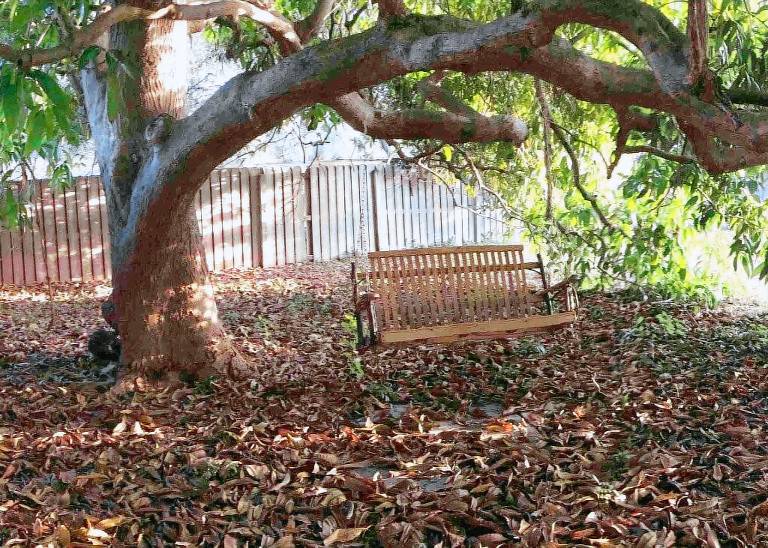 Wonderful house with grill, patio & garden | Garden view | Dogs allowed in Boynton Beach, FL