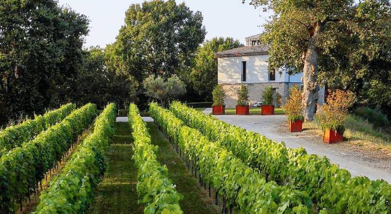 Farm with garden, grill & patio in Avellino