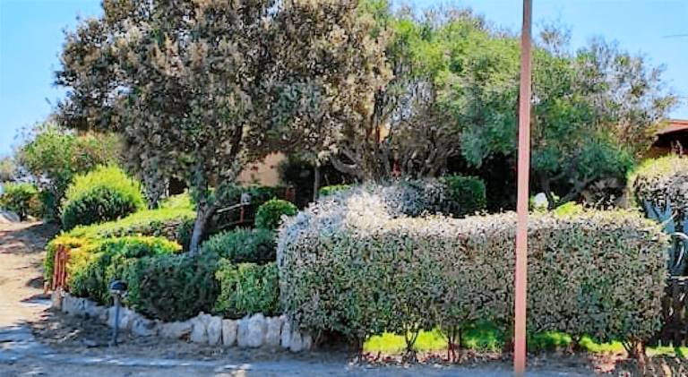 Nice vacation home with pool | Pets are welcome in Palau