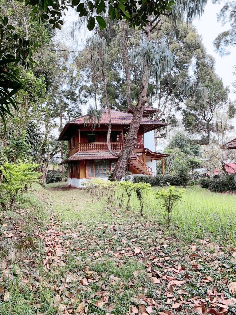 5000 m&sup2; Villa