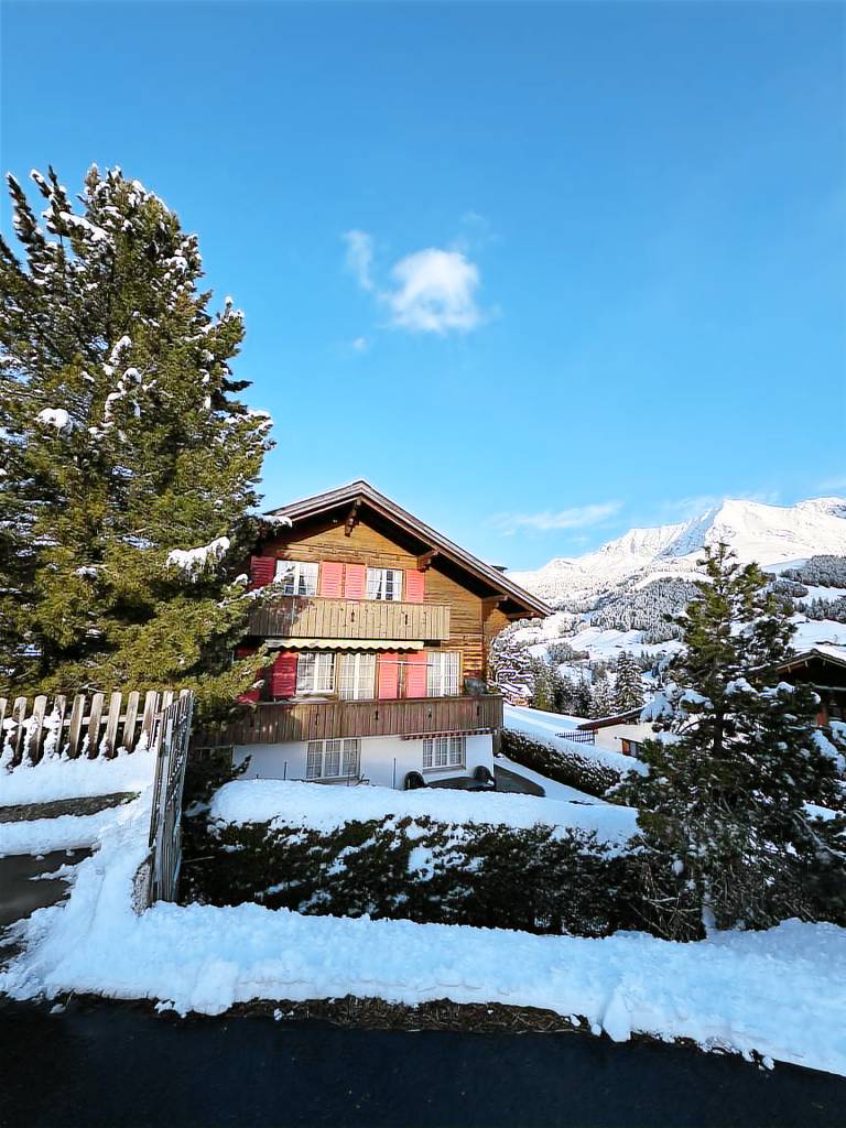 Ferienwohnung mit Hund in Adelboden für max. 6 Personen Ferienwohnung mit Hund in Adelboden für max. 6 Personen