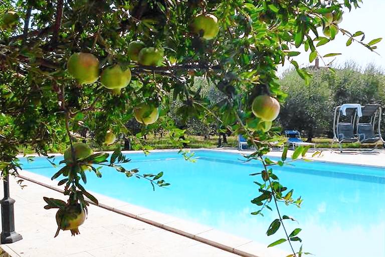 La Meridiana di Guidonia Montecelio: Bilocale — photo 3