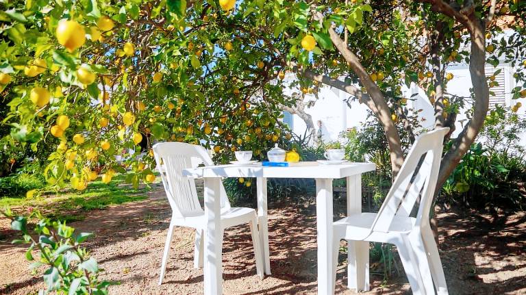 Child-friendly beautiful holiday apartment with patio & yard | Pet-friendly — photo 4