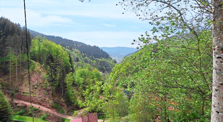 Wildnis-Camp Schwarzwald — photo 2