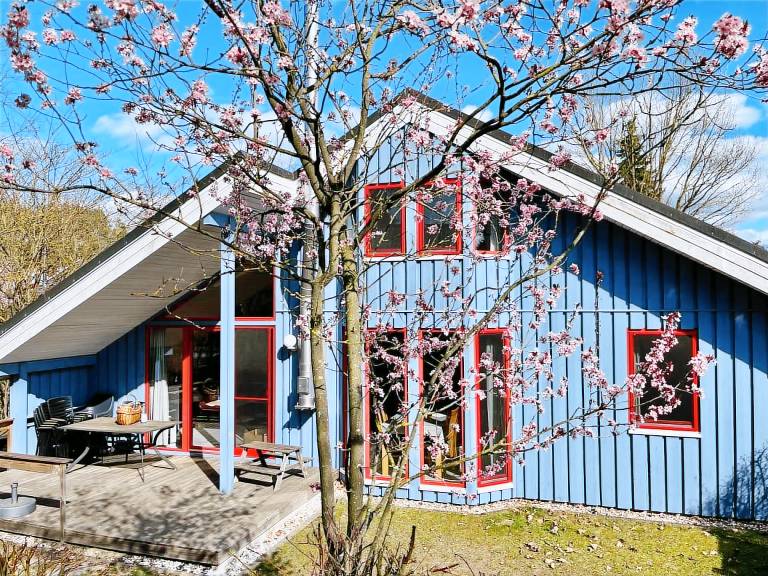 Wildgans 113 - Klassisches skandinavisches Ferienhaus für bis zu 6 Personen — photo 3