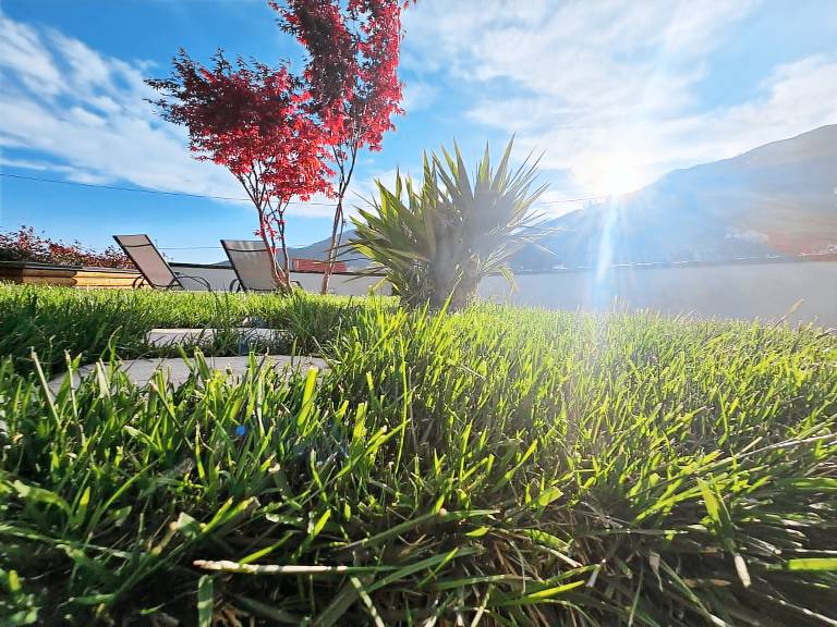 Accogliente Appartamento con Giardino e WiFi Gratuito