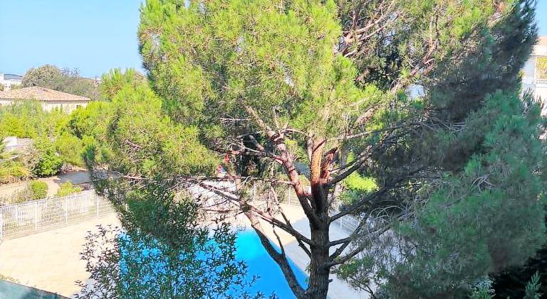 Lovely apartment with patio, garden & private pool | Pet-friendly in Marseille