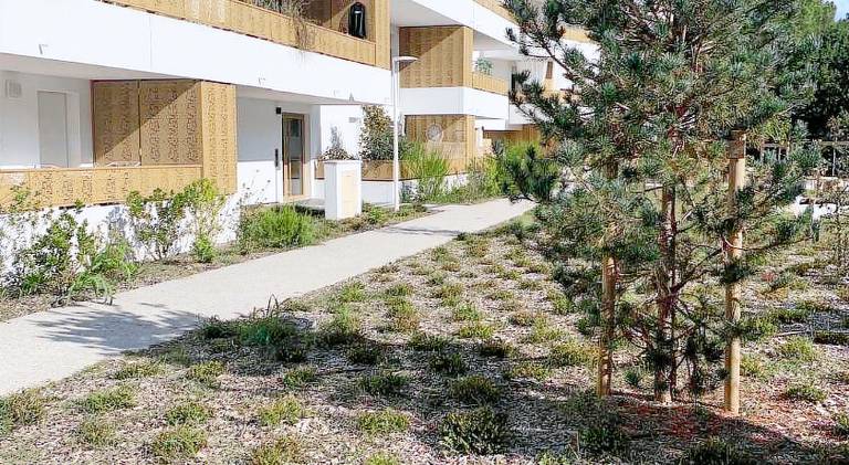 Coeur Boise in Soorts-Hossegor