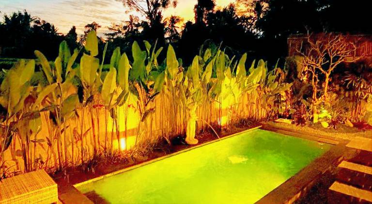 Holiday apartment with pool & jacuzzi in Tegallalang