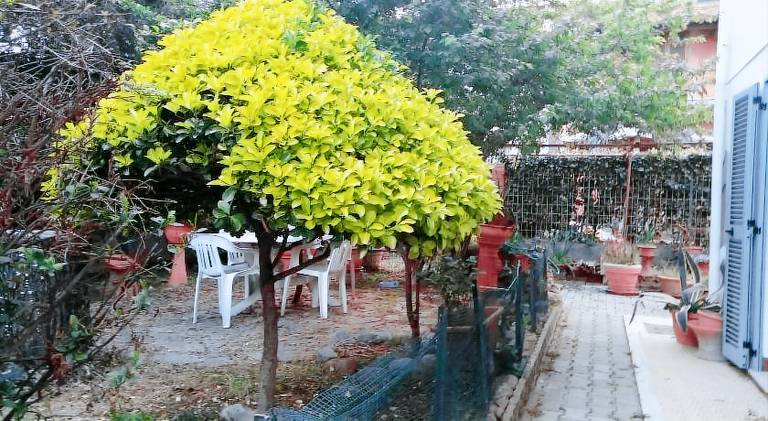 Holiday apartment with patio, garden & barbeque | Good for workation — photo 2