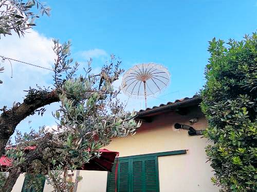 Appartamento Carmignano