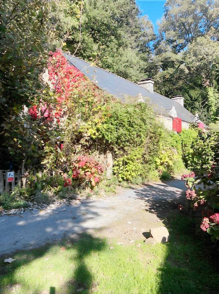 House with terrace, fast internet & yard | Garden view — photo 2