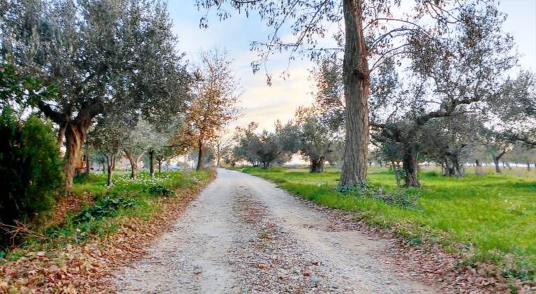 50 m&sup2; Ferienhaus