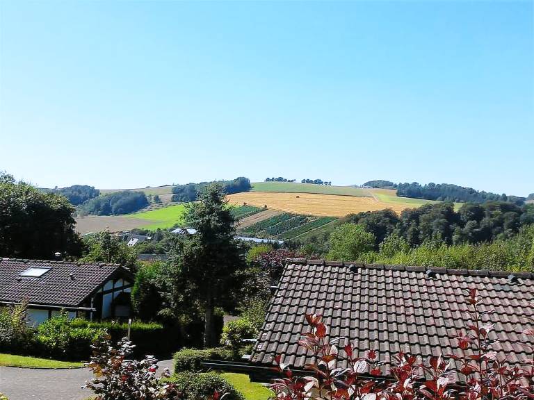 Ferienhaus Meschede