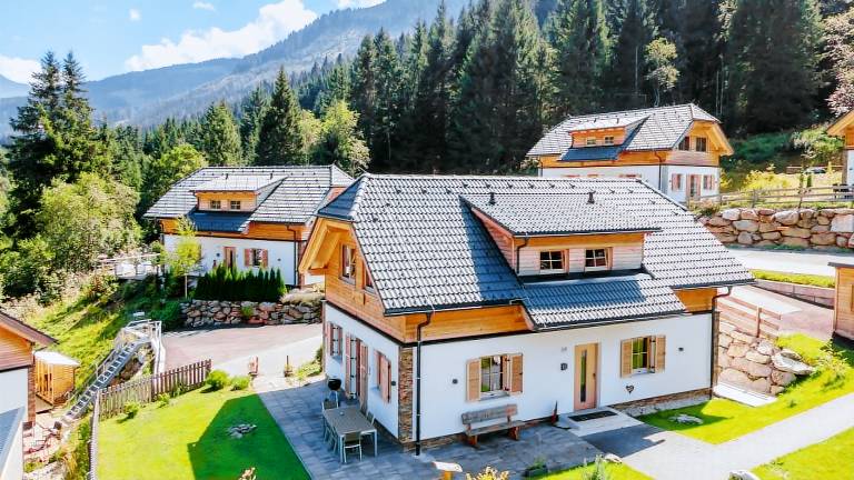 Ferienhaus Donnersbachwald