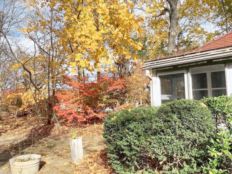 Cottage  South Jamesport