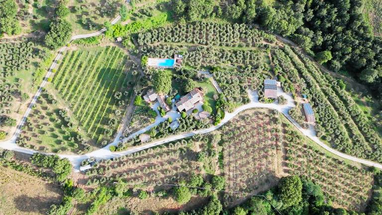 Agriturismo Paciano