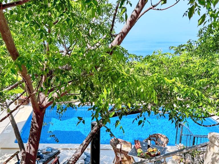 House with private pool, barbecue & terrace | Pet-friendly — photo 4