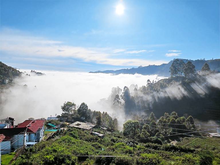 Kodai Hillscape in Kodaikanal