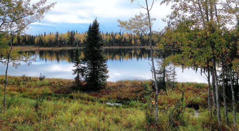 Whispering Woods AK Cabins — photo 5