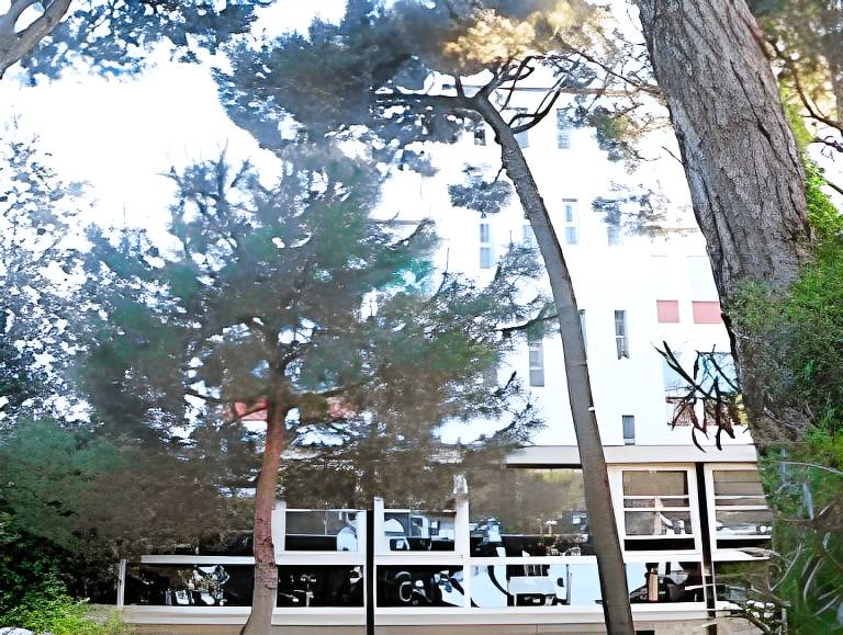 B&B Promenade Hotel Simple con Piscina in Milano Marittima
