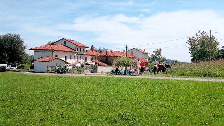 foto1