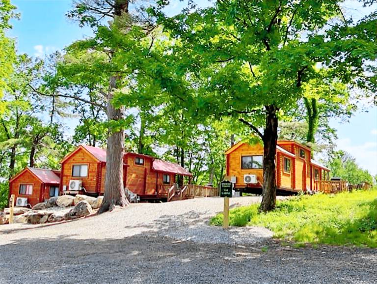 Cabin  Ashford