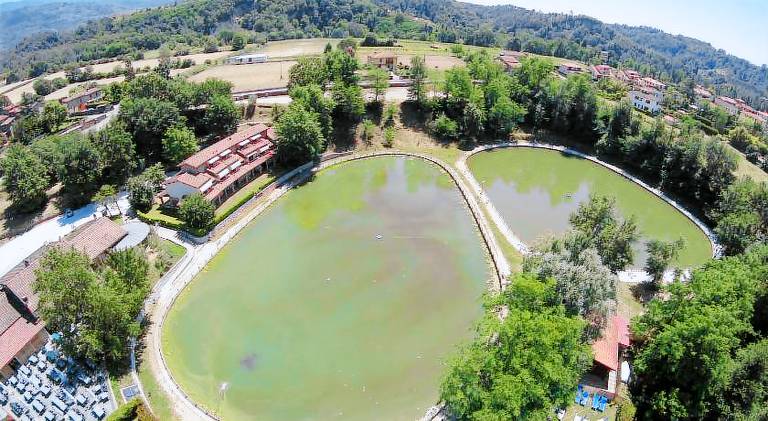 Wonderful apartment with terrace, pool & garden | Perfect for remote work | Dogs allowed in Reggello