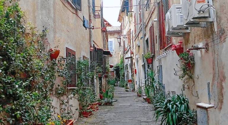 Wonderful rental apartment | Pets allowed in Marcellina