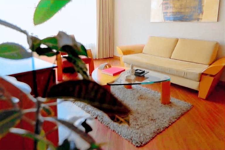 foto6