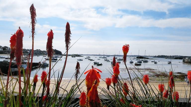Maison de vacances Île-de-Batz