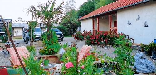 foto4
