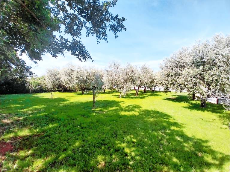 Family-oriented house with private pool, terrace & jacuzzi | Nature view | Pets are welcome — photo 4