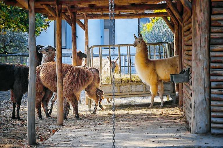 Agriturismo  Rovigo