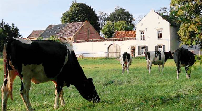 104 m&sup2; Ferienwohnung