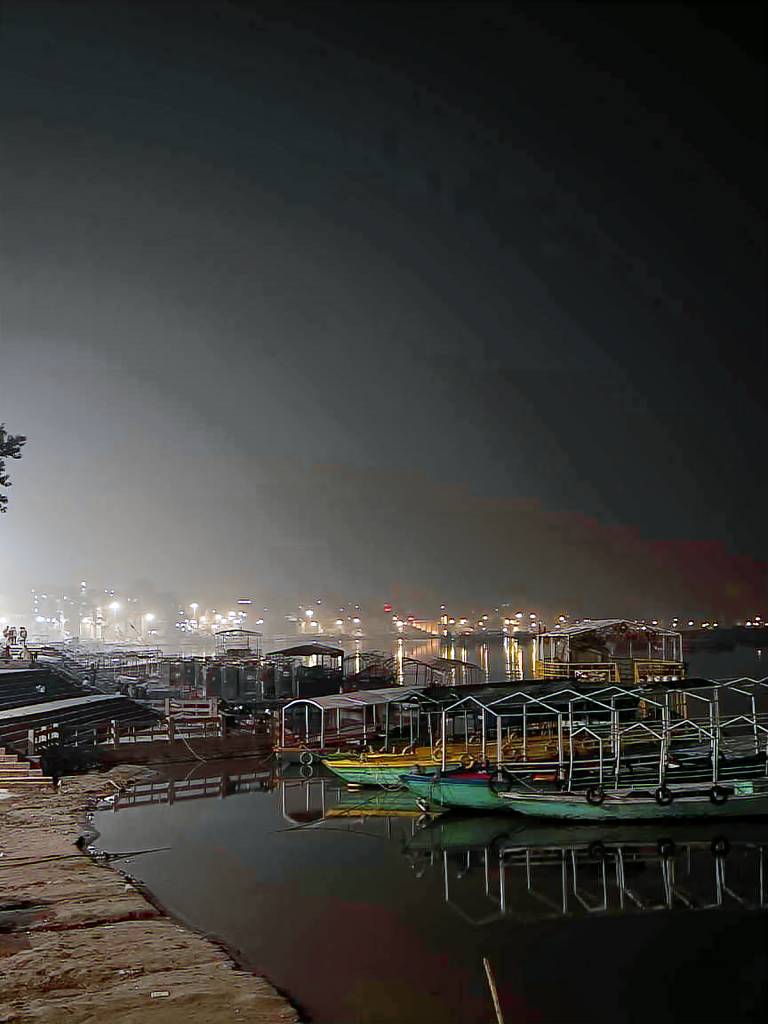The Girdhari Varanasi — photo 4